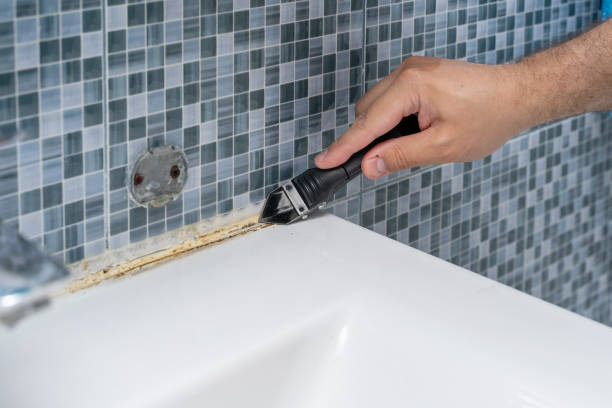 Mold Removal and Inspection in South Jordan, UT