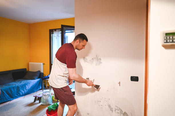 Best Commercial Mold Removal  in Soh Jordan, UT